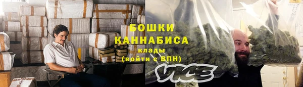 соль ск Богородск